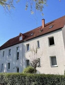 Sehr schöne, helle, renovierte 3-Raum-Wohnung mit EBK und Gartennutzung - Elsteraue