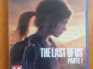 The Last of Us - Oberkochen