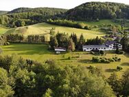 AUMÜLLER-Immobilien - Naturnahes modernes Wohnen und Arbeiten im Haupthaus mit Bungalow im Anbau - Schlüchtern