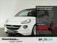 Opel Adam, OPEN EL SITZ SPORTFAHRWERK, Jahr 2017 - Coesfeld