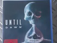 Until Dawn PS5 - Hemer