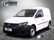 VW Caddy 1.0 TSI Kasten - Brandis