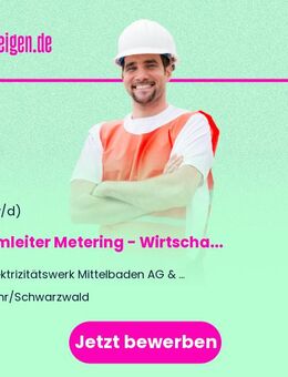 Teamleiter Metering - Wirtschaftsingenieur / Ingenieur Elektrotechnik, Energiewirtschaft, Energietechnik o. ä. (m/w/d) Messstellenbetrieb - Energieversorgung - Lahr (Schwarzwald)