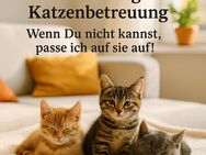 🐈‍⬛🐈KATZENBETREUUNG🐈🐈‍⬛ - Waldkraiburg