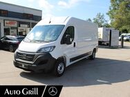 Fiat Ducato, Kasten L4H2, Jahr 2023 - Grafing (München)