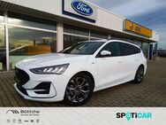 Ford Focus, 1.0 ST-Line EcoBoost, Jahr 2024 - Schönebeck (Elbe)