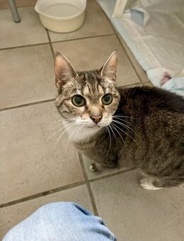 Amelie - Rees Zentrum