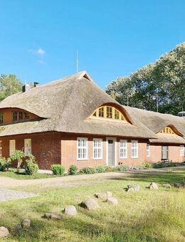 Waldidyll im Landkreis Vorpommern-Rügen!! - Preetz (Mecklenburg-Vorpommern)