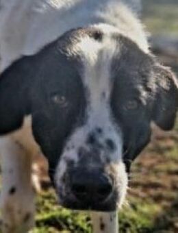 Luna - pure Lebensfreude - Mettmann