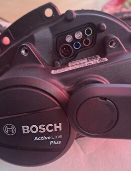 BOSCH MOTOR - Radebeul Zentrum