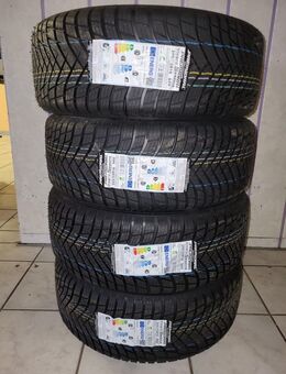 4x 205/55 R16 94V Premiorri Vimero 4SEASONS Ganzjahresreifen - Euskirchen Zentrum