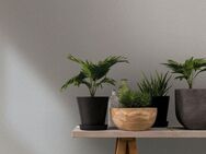 Marburg Vliestapete Simplicity Serenade, einfarbig, moderne Tapete für Wohnzimmer Schlafzimmer Küche