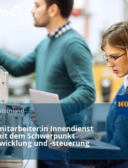 Vertriebsmitarbeiter:in Innendienst (m/w/d) mit dem Schwerpunkt Projektabwicklung und -steuerung - Brandis