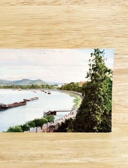 Ansichtskarte-Ak-260--Bonn am Rhein- Blick auf Bundeshaus und Siebengebirge. - Nörvenich