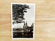 Ansichtskarte-Ak-314-Köln am Rhein. Dom - Nörvenich