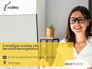 Freiwilliges soziales Jahr / Berufsförderungsdienst - Ditzingen