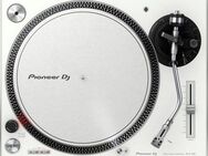 Pioneer DJ PLX-500 Plattenspieler (Direktantrieb)