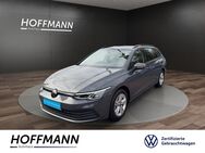 VW Golf Variant, 1.0 TSI Life, Jahr 2024 - Meschede (Kreis- und Hochschulstadt)