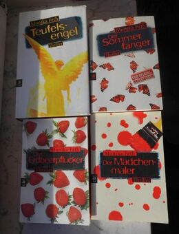 Thriller von Monika Feth: Teufelsengel, Der Sommerfänger, Der Mädchenmaler, Der Erdbeerpflücker. 4 Bücher zusammen 8,- - Flensburg