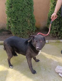 Luna die schüchterne❤️ - Mylau