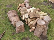 Trockenes Holz verschiedene Sorten 1rm - Güstrow