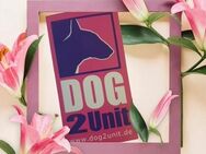 DOG 2Unit - Fachgeschäft für Hundenahrung & Zubehör - Bad Essen - Bad Essen