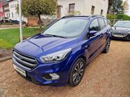 Ford Kuga ST-Line, Winterp.,Navi,KeyFree - Weiskirchen