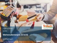 Werkstudentenjob (m/w/d) - Sindelfingen