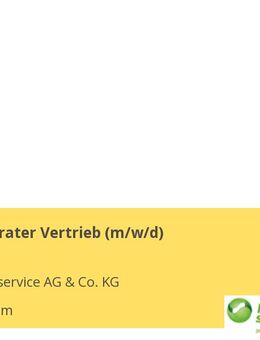 Personalberater Vertrieb (m/w/d) - Hildesheim