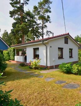 Das besondere Wochenendhaus im Kiefernwald vom Ostseeheilbad - Graal-Müritz (Ostseeheilbad)