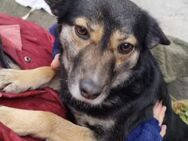 Bea ist ein Schatz - Bielefeld