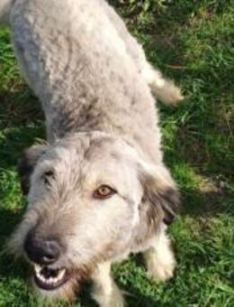 Rosalie erobert dein Herz im Sturm - München