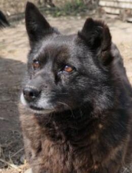 Schüchterne, kleine Carrie - Kallmünz