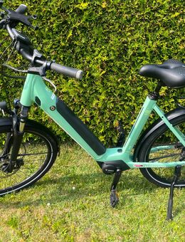 Winora Sinus R8 Eco - Mühlhausen (Thüringen)