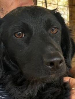 MILANA💖liebe Seele möchte ankommen - Hamburg