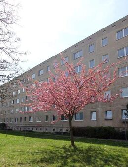 Sachsen-Anhalt - Wirtschaftsregion Magdeburg, Wohnanlage mit 89 Wohnungen in Dessau-Roßlau - Dessau-Roßlau