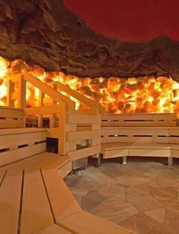 Wer geht mit mir in die Sauna? Titus Therme Frankfurt, Taunus Therme Bad Homburg oder andere. - Frankfurt (Main)