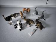 schleich Figuren Schleich Tiere schleich Zoo Tiere Spielzeug Tier Spielzeug Figu - Sengenthal