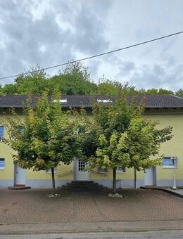 Grenznah zu Luxemburg:Großzügiges EFH mit Großraum-Garage & Garten & Balkon in Onsdorf - Onsdorf
