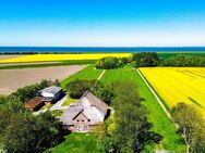 Rarität auf Eiderstedt Haubarg | Rohbau | + Altenteil - Norderfriedrichskoog