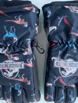 Jungen Wasserabweisende Skihandschuhe 3M Dino Dinosaurier Jurassic Park aus winddichtem und wasserabweisendem Funktionsmaterial mit Kappnähten, Reflektoren, Gr. 158/170 - Albstadt