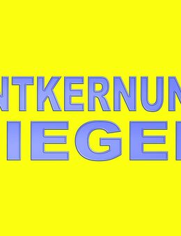 Entkernung Siegen Entkernungsarbeiten Festpreise Hausservice 57080 57078 57076 57074 57072 Siegen Entkernungsservice Entkernungsfirma Entkernungsunternehmen Abbrucharbeiten Innenabbrüche - Siegen (Universitätsstadt) Birlenbach