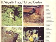 12'' LP Vinyl Schallplatte VÖGEL IN HAUS, HOF UND GARTEN [ETERNA 821 112] - Zeuthen