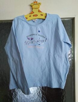 Hellblaues Langarmshirt - Gr. 146/152 - TCM - Pirmasens