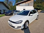 VW Golf VII Lim. Comfortline BMT / Xenon - Surberg