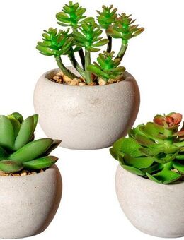Künstliche Zimmerpflanze Sukkulenten Sukkulente, Creativ green, Höhe 9 cm