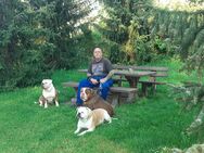 Nette Partnerin gesucht... - Hemer