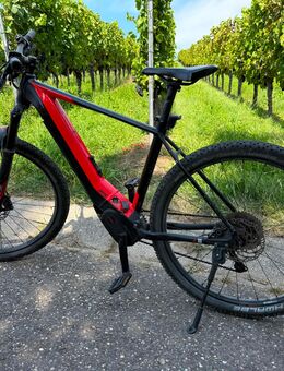 E Mountainbike, Bulls EVO3 HE29 sw 51 - Erlenbach