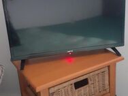 Metz LED-TV 24" - Langwedel (Niedersachsen)