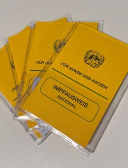 Liebevoll aufgezogene Australian Shepherd x Malinois Welpen – bereit für ihr Abenteuer mit dir! - Lindetal